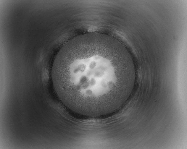 X0000088890691200706081248