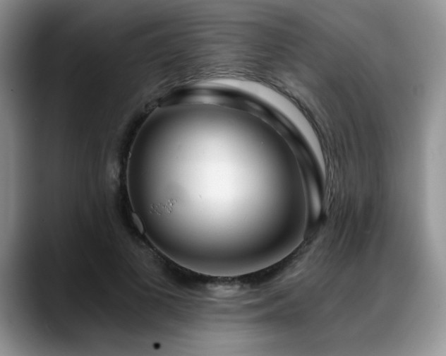 X0000088890693200706081248