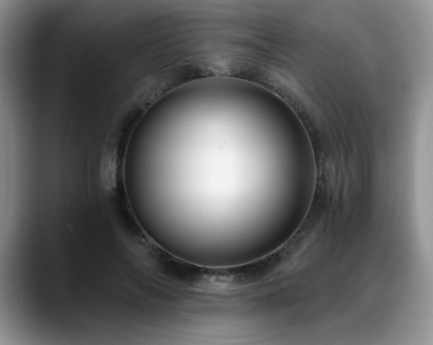 X0000088890694200706081248