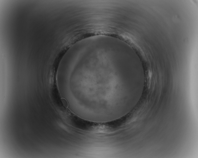 X0000088890695200706081248