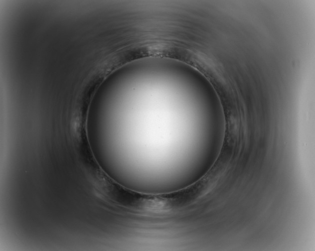 X0000088890698200706081248