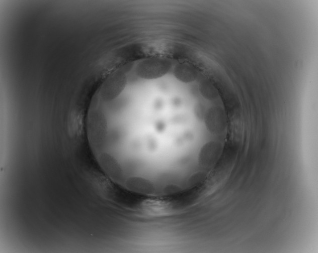 X0000088890699200706081248