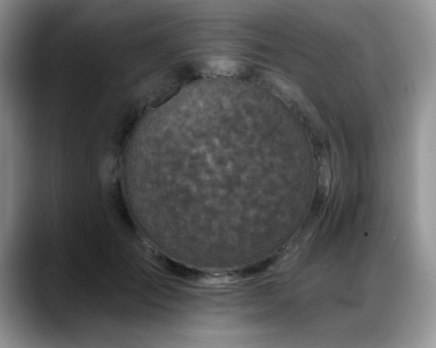 X0000088890701200706081248