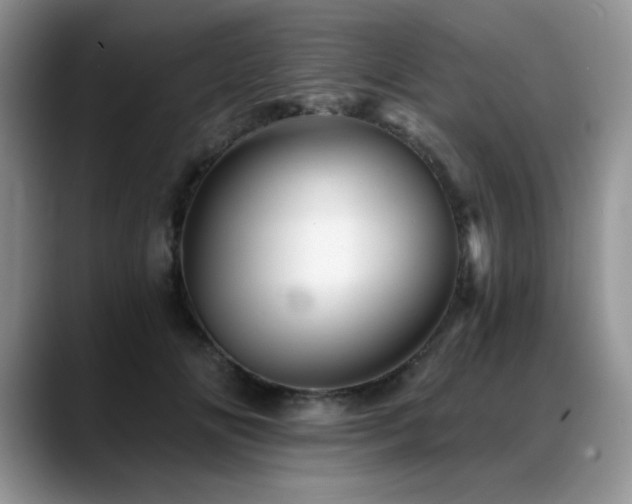 X0000088890702200706081248