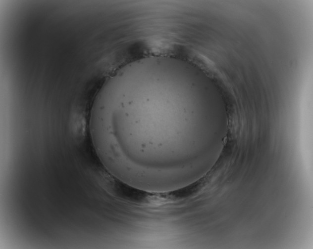 X0000088890703200706081248