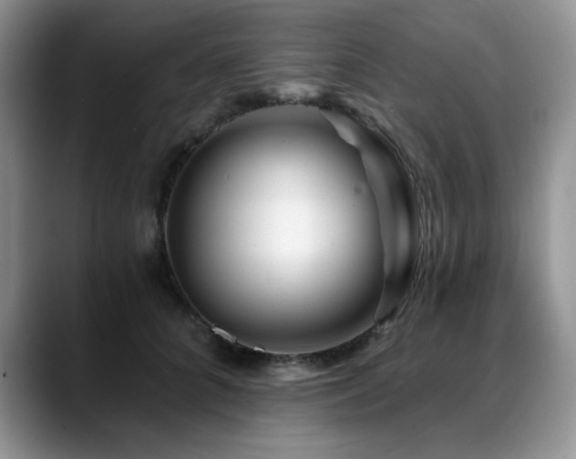 X0000088890704200706081248