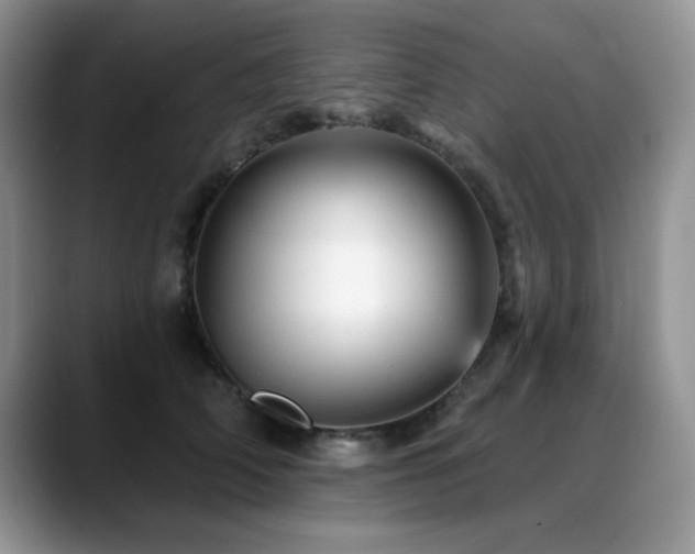 X0000088890706200706081248