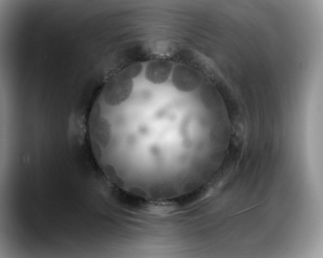 X0000088890707200706081248