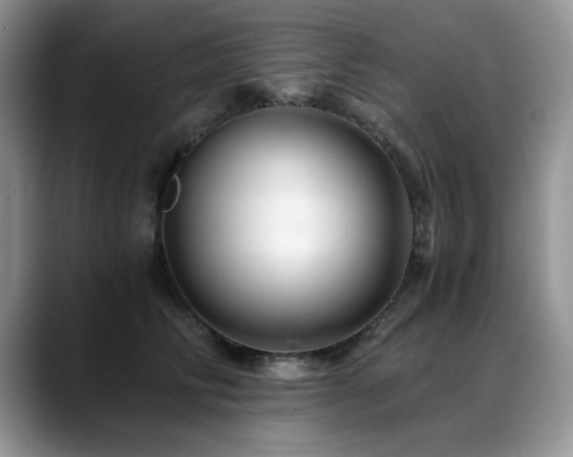 X0000088890710200706081248