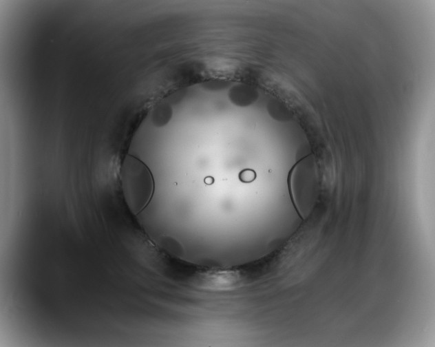 X0000088890711200706081248