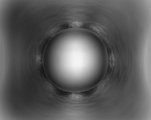 X0000088890714200706081248