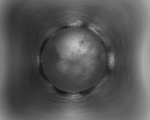 X0000088890716200706081248