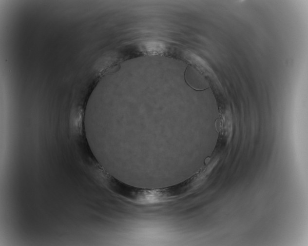 X0000088890717200706081248