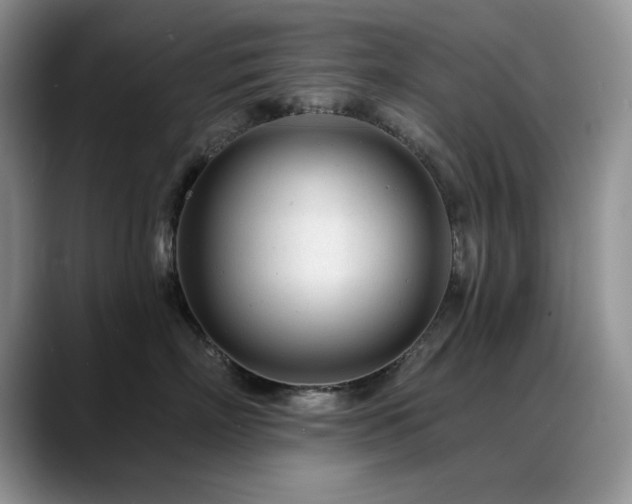 X0000088890718200706081248