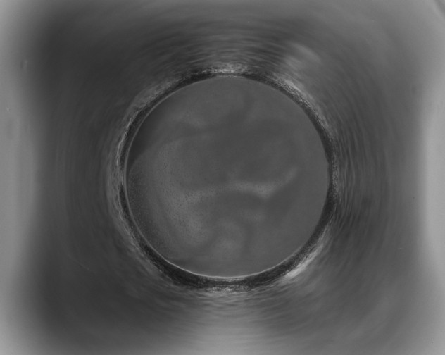 X0000088890721200706081247