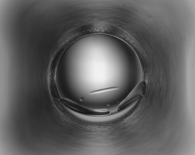 X0000088890722200706081247