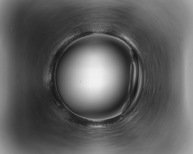 X0000088890723200706081247