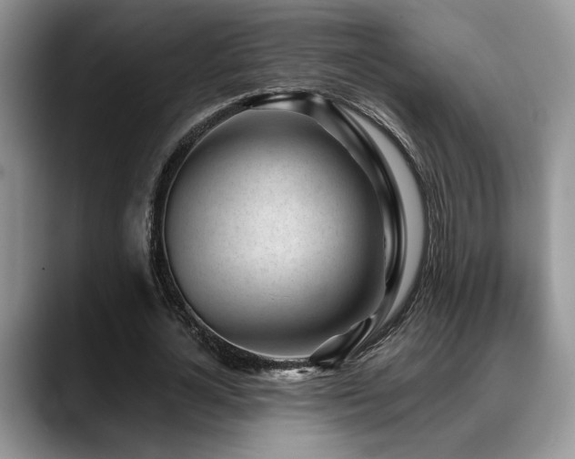 X0000088890724200706081247