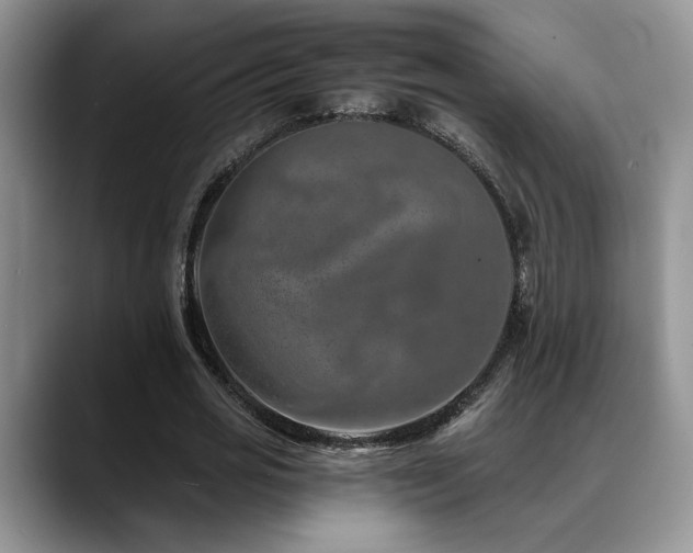 X0000088890725200706081247