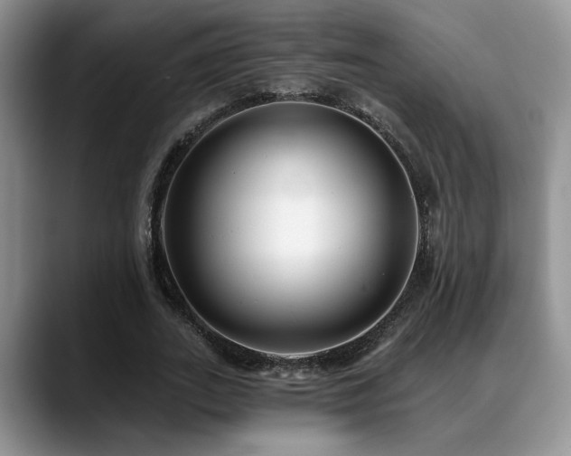 X0000088890727200706081247