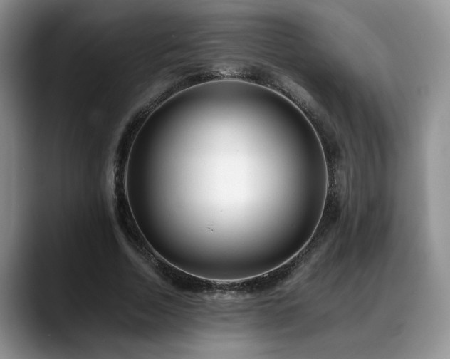 X0000088890730200706081247