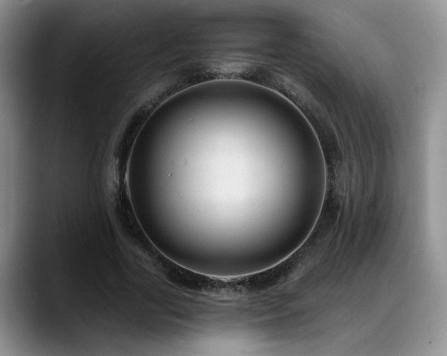 X0000088890731200706081247