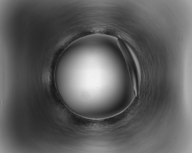 X0000088890732200706081247