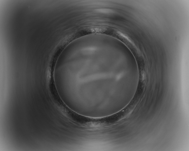 X0000088890733200706081247