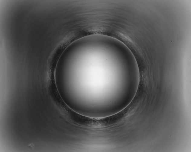 X0000088890735200706081247