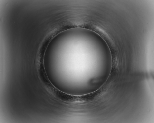 X0000088890736200706081247