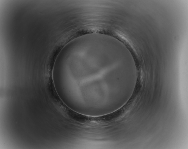 X0000088890737200706081247