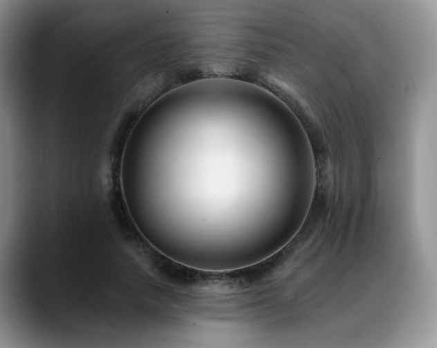 X0000088890738200706081247