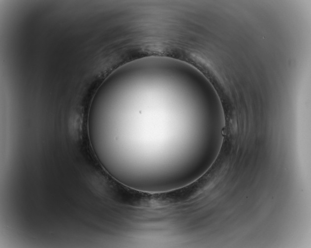 X0000088890739200706081247