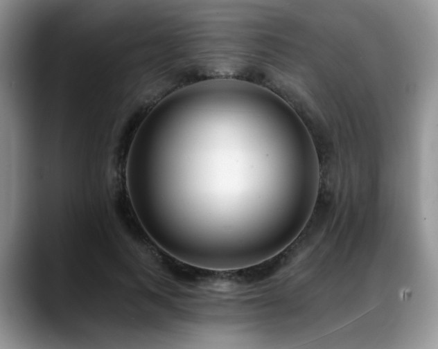 X0000088890743200706081247