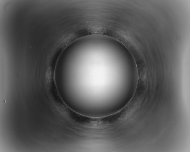 X0000088890744200706081247