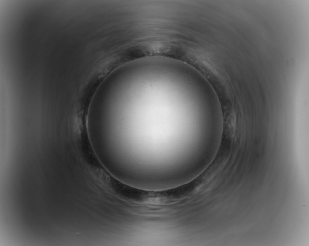 X0000088890746200706081247