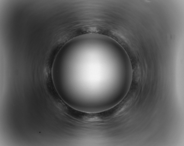 X0000088890747200706081247