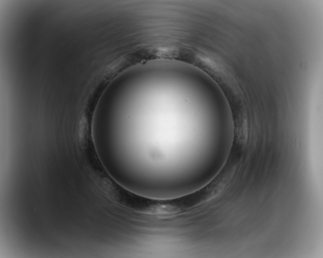 X0000088890748200706081247