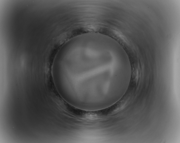 X0000088890749200706081247