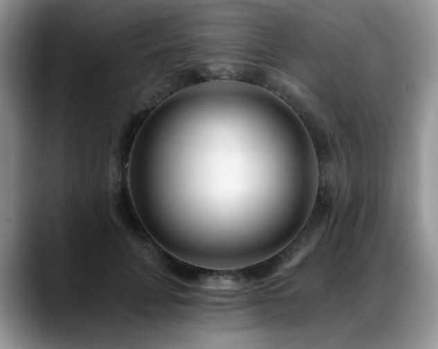 X0000088890751200706081247