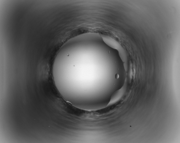 X0000088890752200706081248