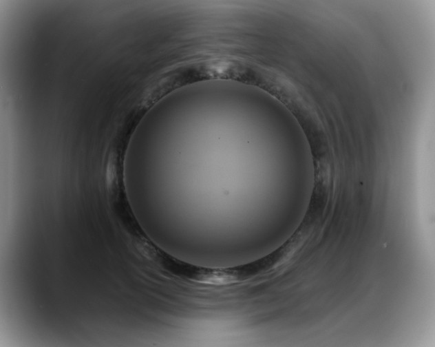 X0000088890754200706081248