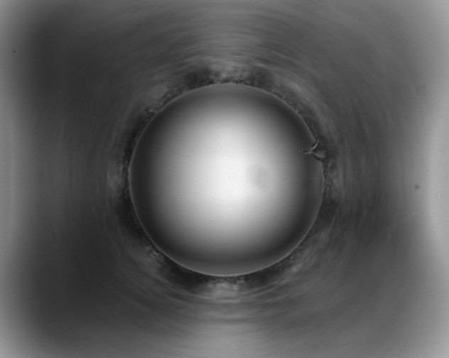 X0000088890756200706081248