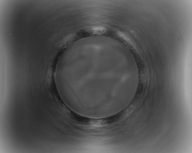 X0000088890757200706081248