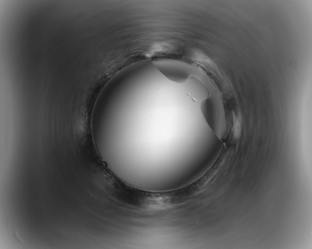 X0000088890760200706081248