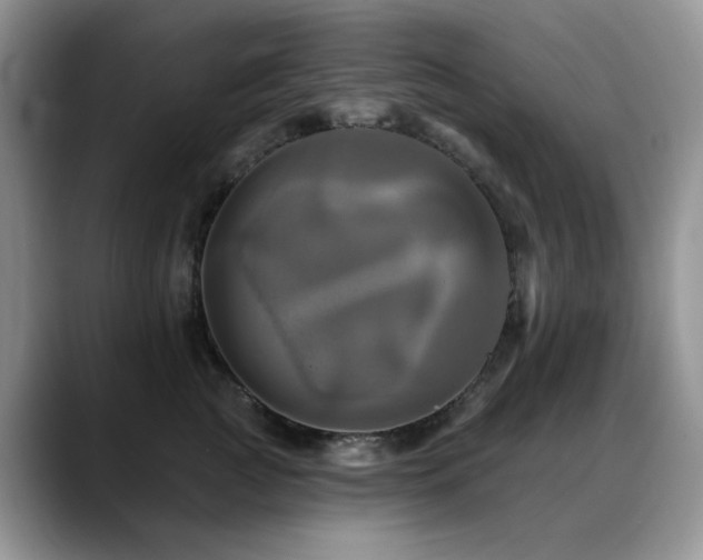 X0000088890761200706081248