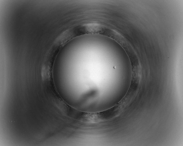 X0000088890762200706081248