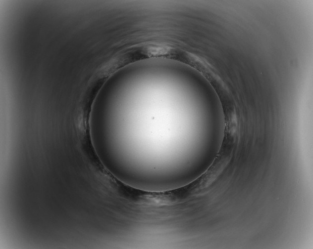 X0000088890763200706081248