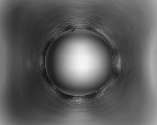 X0000088890764200706081248