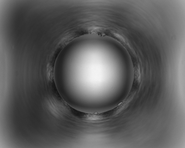 X0000088890766200706081248